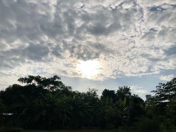 Low angle view of silhouette trees against sky