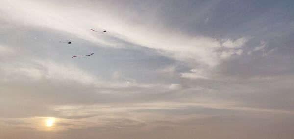 Low angle view of birds flying in sky