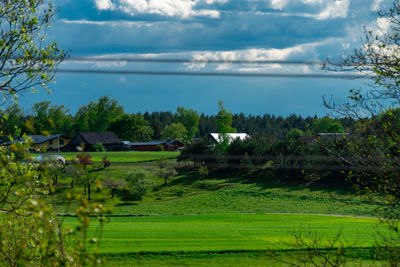 Scenic view of field against sky