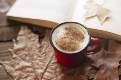 Morning routine. coffee with mil cocoa and cinnamon. reading a book in autumn. 