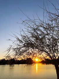 Silhouette trees by lake against sky during sunset
