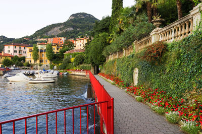 View of pathway by the lake