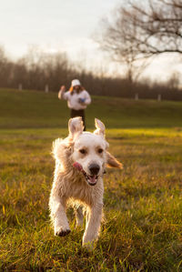 Dog running on field