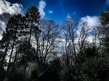 Low angle view of silhouette trees against sky