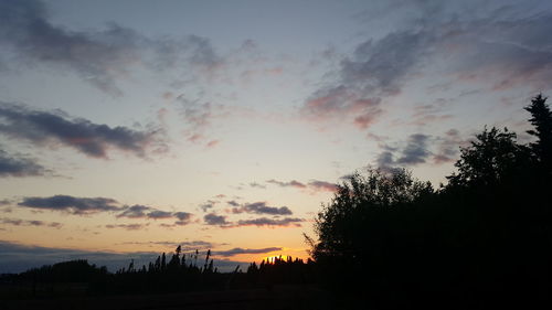 Silhouette trees against sky during sunset