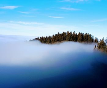 Scenic view of tree by lake against sky