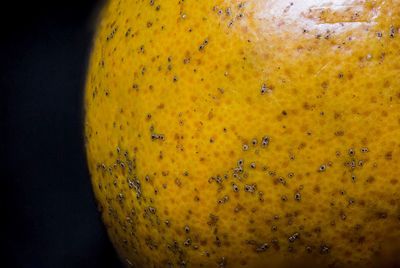 Close-up of bananas against black background