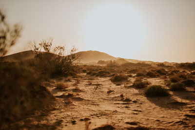 Scenic view of desert against sky