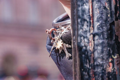 Close-up of insect on tree trunk