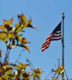 Low angle view of flags against clear blue sky