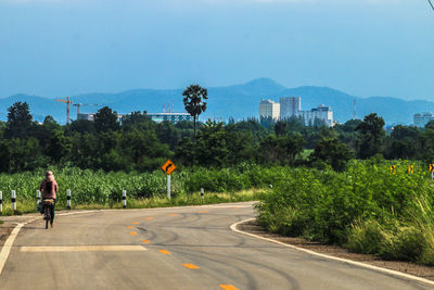 Rear view of man on street against sky