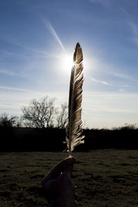 Close-up of horse against sky