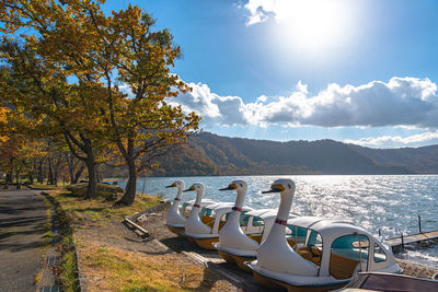 Autumn foliage scenery of lake towada. aomori, japan.