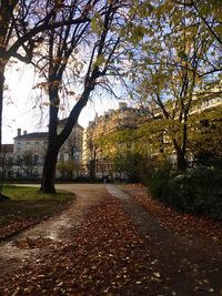 Road amidst trees against sky during autumn