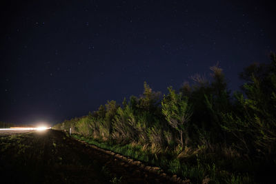 Illuminated trees against sky at night