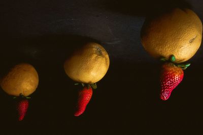 Close-up of fruits