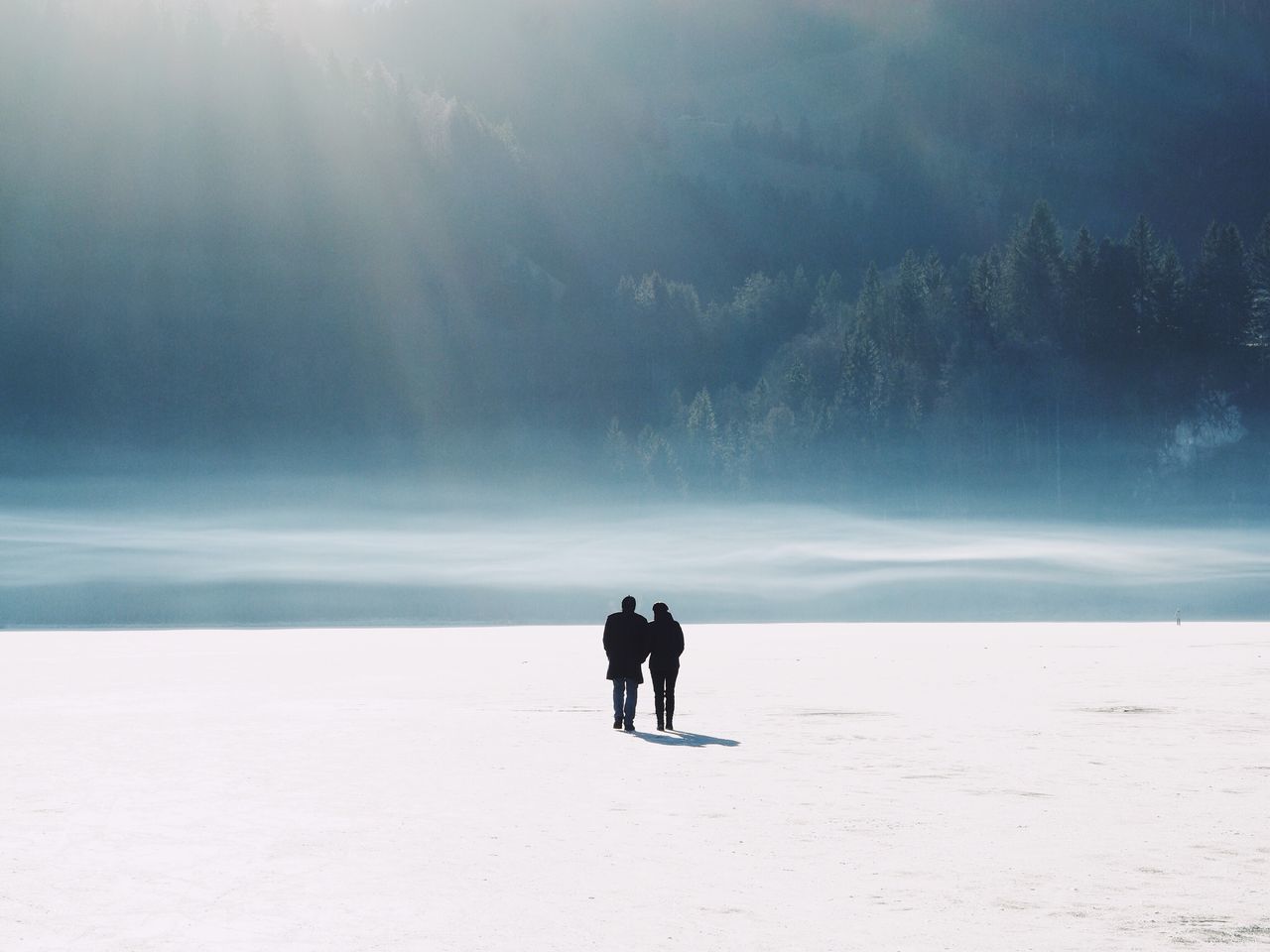 rear view, full length, two people, snow, cold temperature, winter, outdoors, sky, silhouette, nature, people, mammal, adult, day, snowing, adults only