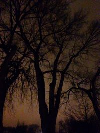 Silhouette of bare trees against sky at sunset