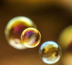 Close-up of bubbles