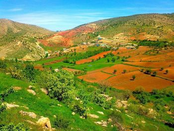 Scenic view of agricultural field against sky