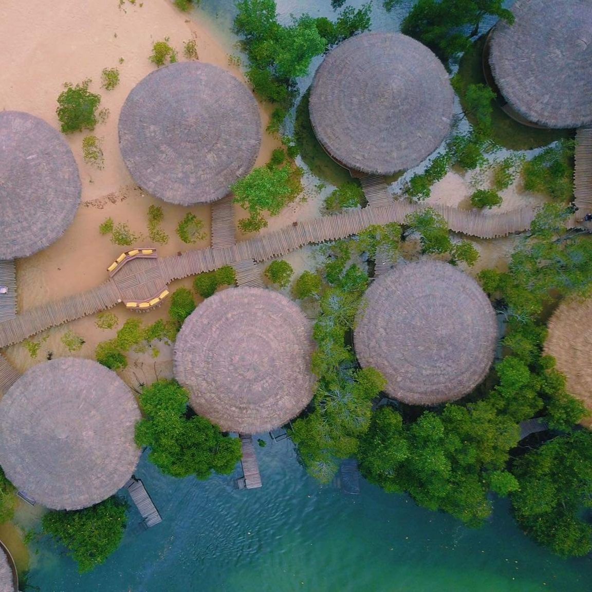 high angle view, plant, no people, water, nature, day, geometric shape, circle, soil, outdoors, shape, growth, beauty in nature