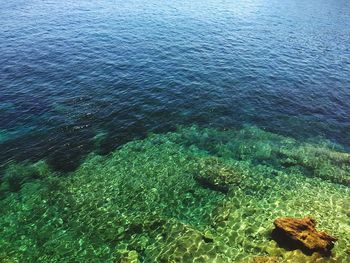 High angle view of sea shore