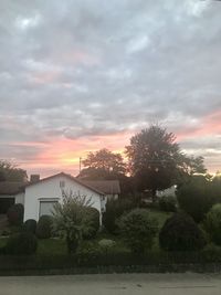 Trees and buildings against sky during sunset