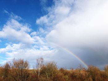 Low angle view of rainbow against sky