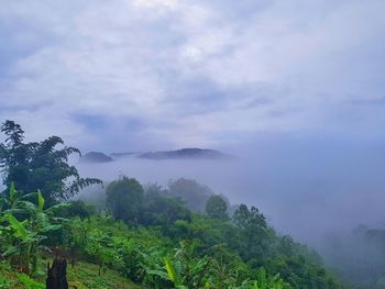 Scenic view of trees and mountains against sky