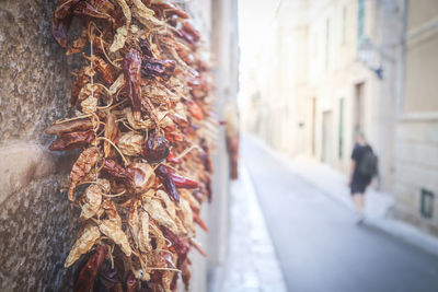 Close-up of red chili peppers hanging on wall in city