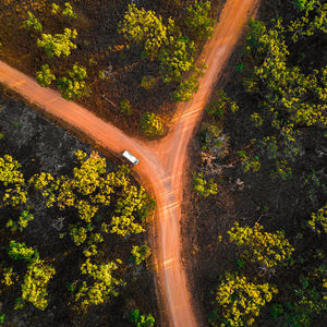 High angle view of road amidst trees in forest