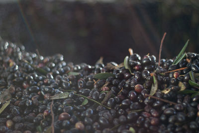 Close-up of olives