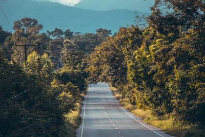 Road amidst trees against mountains