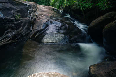 Scenic view of waterfall in forest