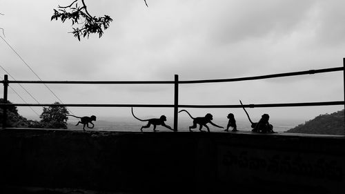 Low angle view of silhouette people against sky