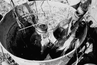 Close-up high angle view