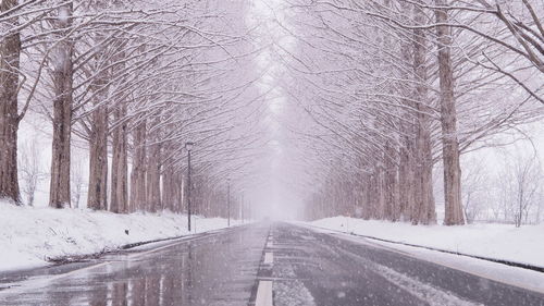 Snow covered road amidst trees during winter