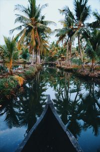 Palm trees by swimming pool against sky