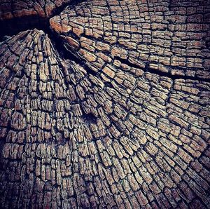 Full frame shot of tiled floor