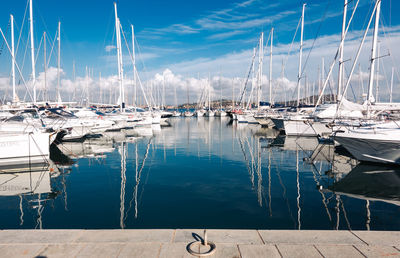 Sailboats moored in harbor