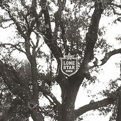 Low angle view of tree