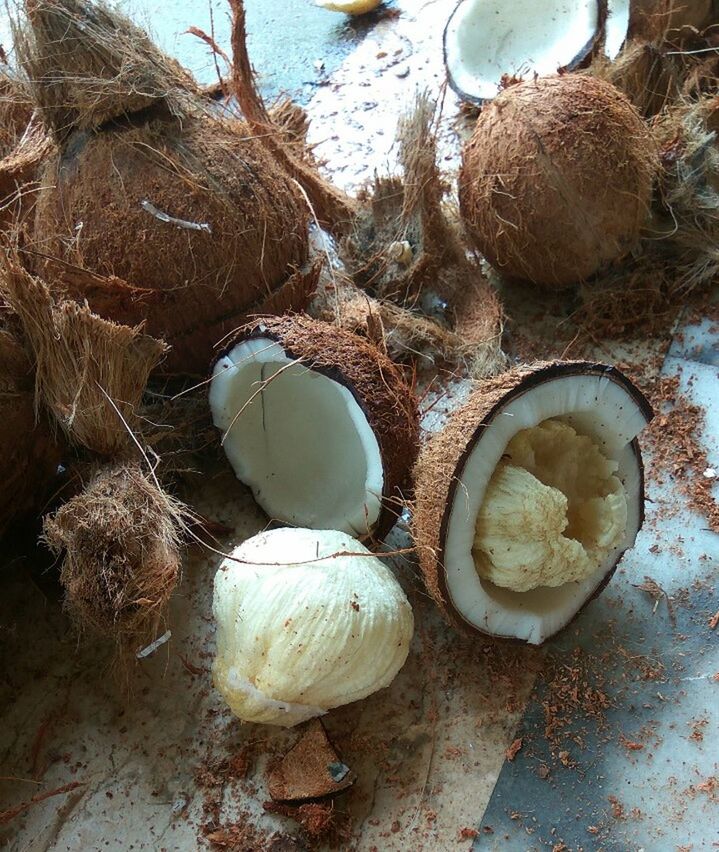 CLOSE-UP OF FOOD ON TABLE