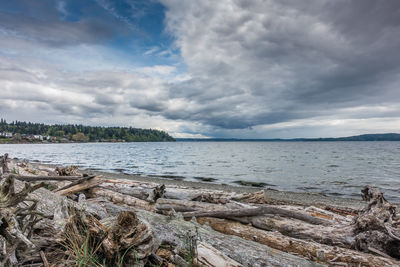 Scenic view of sea against sky