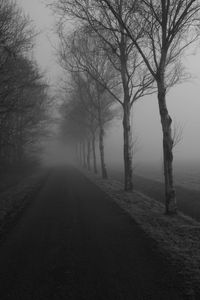 Road passing through trees