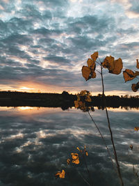 Scenic view of lake against sky during sunset