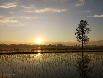 Scenic view of field against sky during sunset