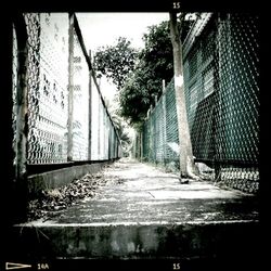 Narrow alley along buildings