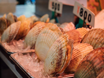 Close-up of fish for sale in market