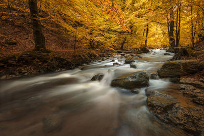 Stream flowing through rocks in forest during autumn