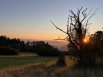 nature
